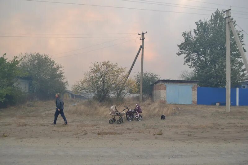 Селе николаевка воронежской области. Село Николаевка Воронежская область. Воронежская область, Павловский р-н, с. Николаевка. Село Николаевка Воронежская область Аннинский район. Павловский район Николаевка Воронежская.