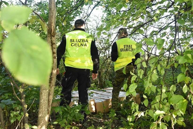поляки нашли. поляки нашли. поляки нашли. антон поляков депутат. поляки нашли.