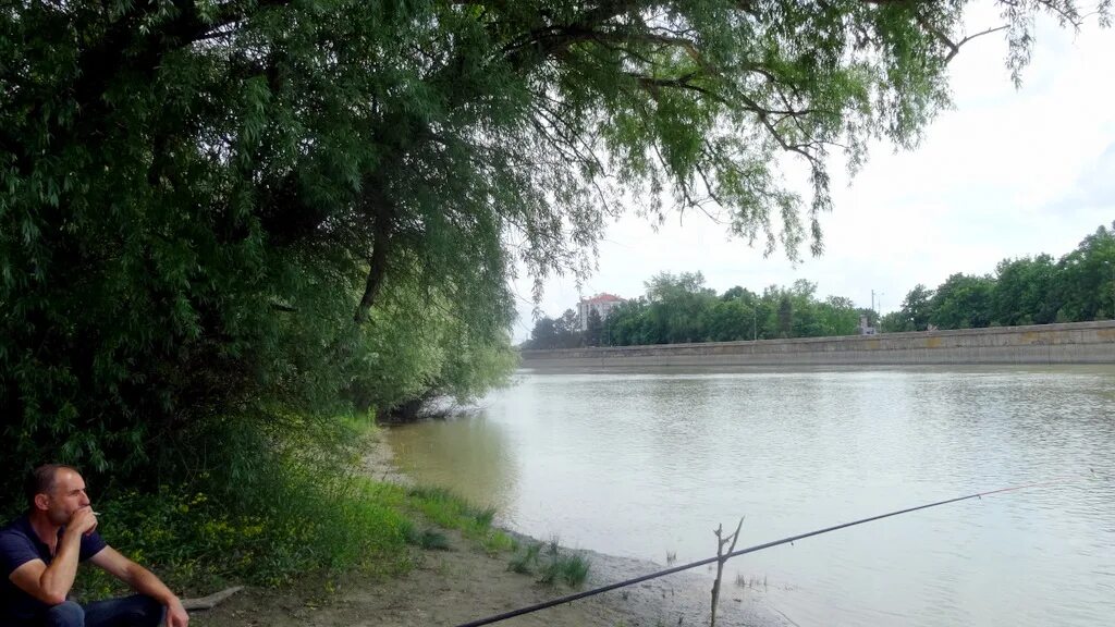 Кубань уровень воды в реке сегодня краснодар. Река протока Краснодарский край поселок Забойский. Хутор Тиховский река протока. Тиховский Краснодарский край. Хутор Тиховский Краснодарский край.