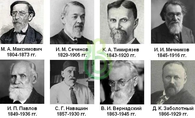 Вернадский Павлов Мечников. Портреты учёных биологов Мечников. Известные ученые биологи. Известные русские биологи.