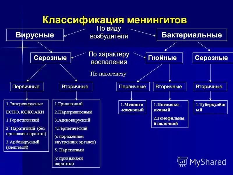 Менингиты этиология клиника диагностика. Серозный менингит этиология. Классификация менингитов. Гнойные менингиты классификация. Гнойная бактерия