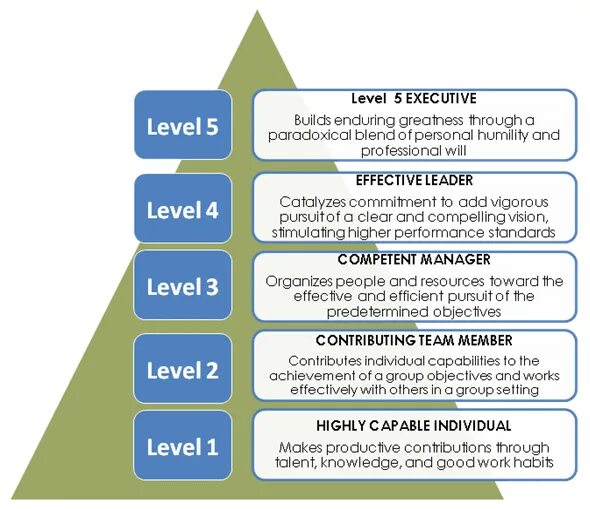 A higher level. Уровни coachability. true leadership. highest level. tribal leadership five levels.