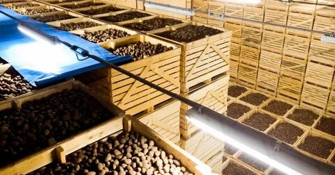 Хранение переработка и реализация сельскохозяйственной продукции