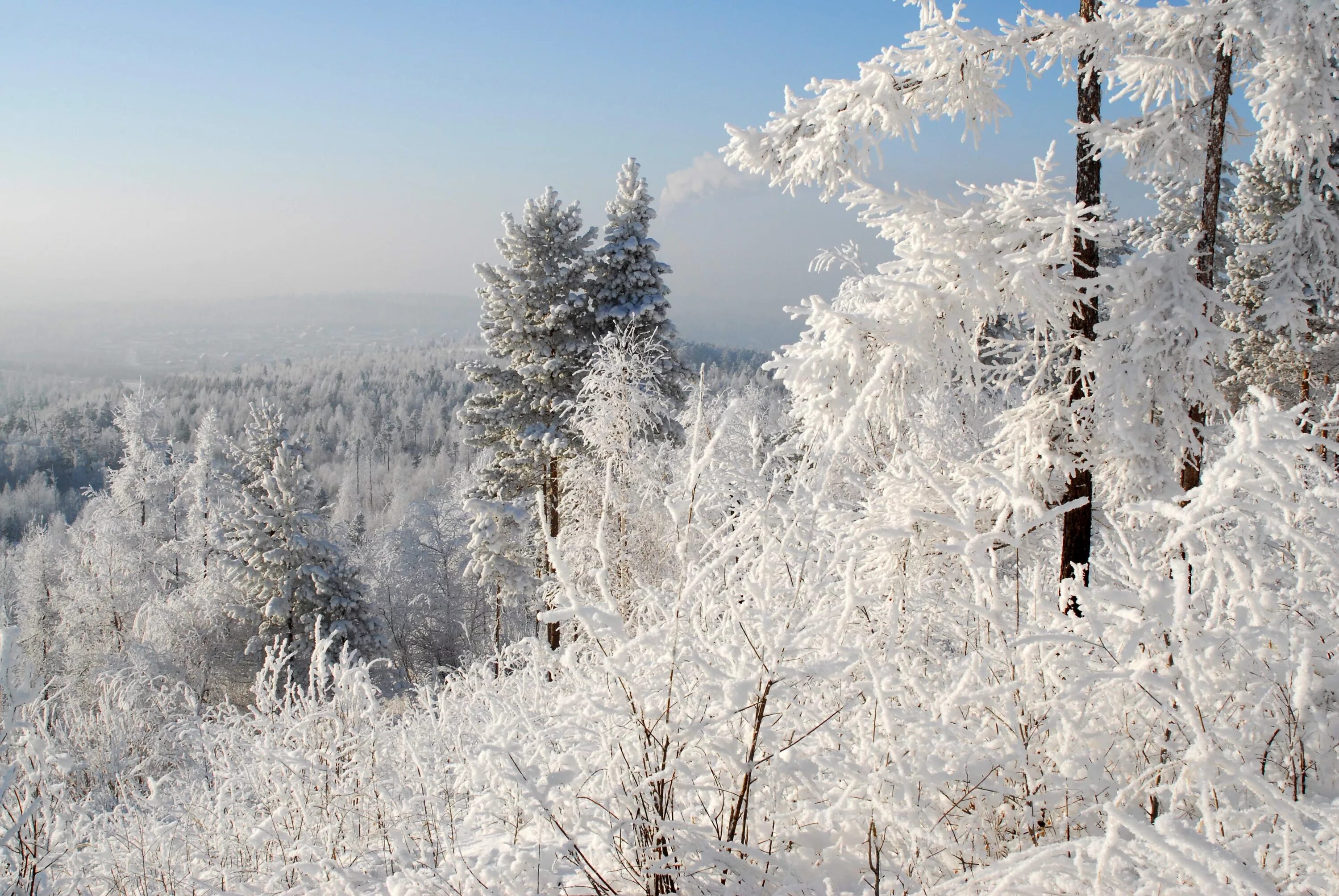 Russia winters are cold. Winter in Russia. Россия нулевых зима. Природа путешествия Cold photo. Snow in Yakutsk.