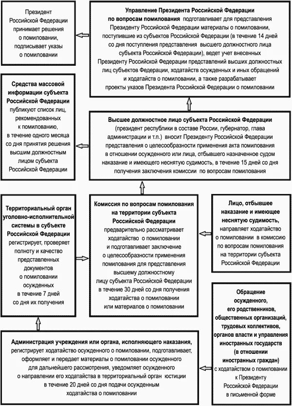 Помилование схема. Акт амнистии и помилования. Амнистия и помилование таблица. Порядок применения помилования. Институт помилования в рф