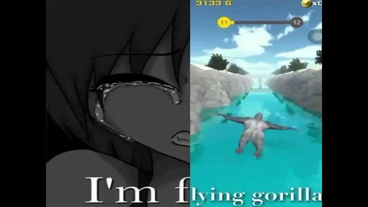 I m flying to you. Игра flying gorilla. i&#039;m flying gorilla. im flying gorilla мем. flying gorilla meme.