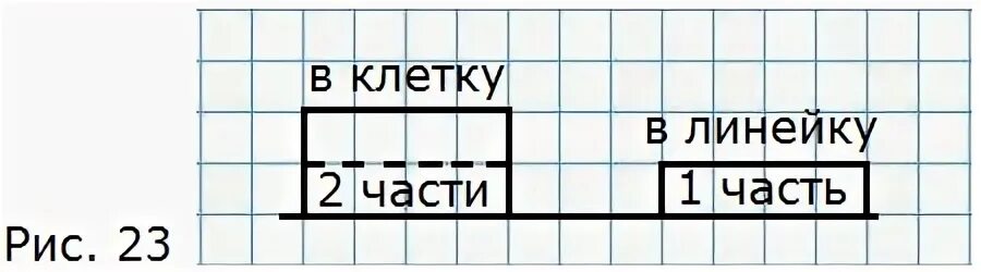 Линейка в клетку