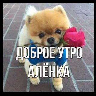 Доброе утро ленка
