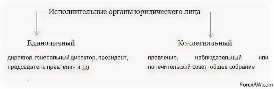 Примеры исполнительного органа общества. Исполнительный орган юридического лица это. Единоличный исполнительный орган юридического лица. Органы управления юридического лица. Коллегиальные органы управления юридического лица.