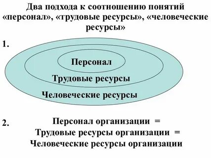 Соотношение категорий работников