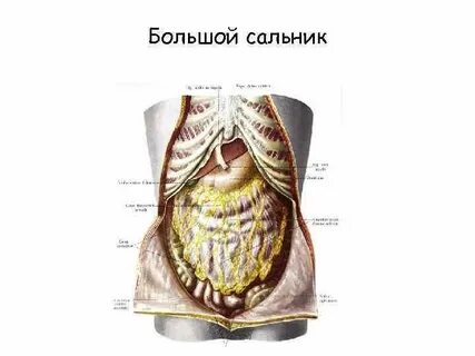 Малый сальник
