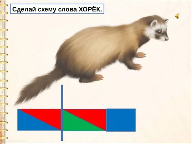 Анализ хорь. Звуковая схема хорек. Схема слова хорек. Хорь звуковая схема. Схема слова хомяк.