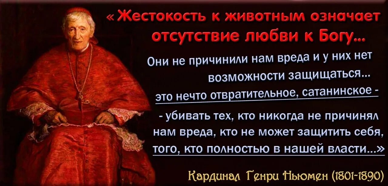 Не способны на жестокость. Жестокость это определение. Не способны на жестокость. Не способны на жестокость. Изречения о человеческой жестокости.