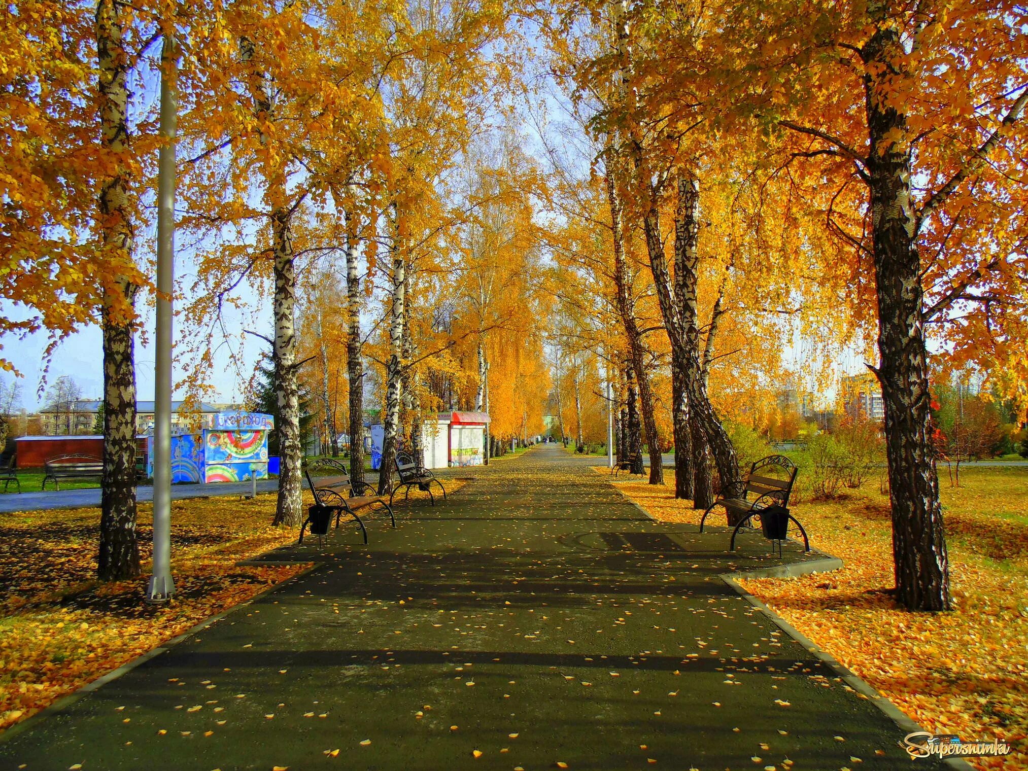 Городской парк Козельск осень. Лиски осень парк. Парк осень Знаменка. Парк Победы г Курган осень. Золотой лысьва