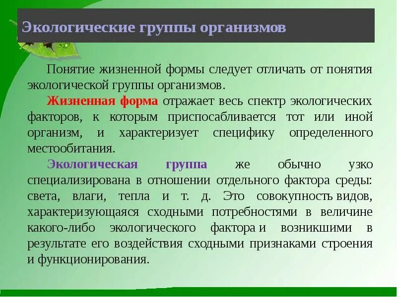 Жизненные формы организмов