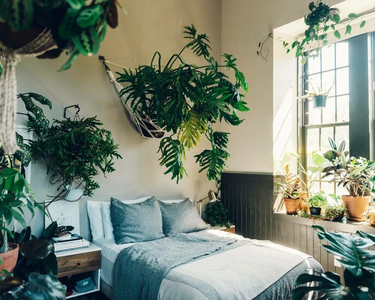 Растения в интерьере. Комната с растениями. Комнатные растения в спальне. Растения в интерьере квартиры.