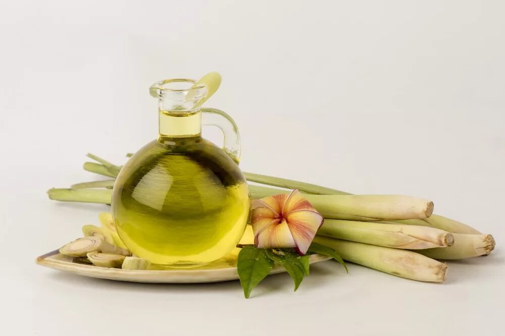 Lemongrass essential oil. Цимбопогон лемонграсс. Лимон травы. Петрушка и лимон. Cymbopogon winterianus.
