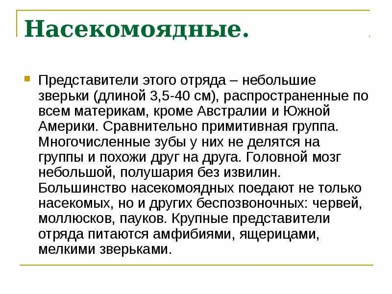 Отряд Насекомоядные представители. Характеристика отряда Насекомоядные. Отряд Насекомоядные общая характеристика кратко.