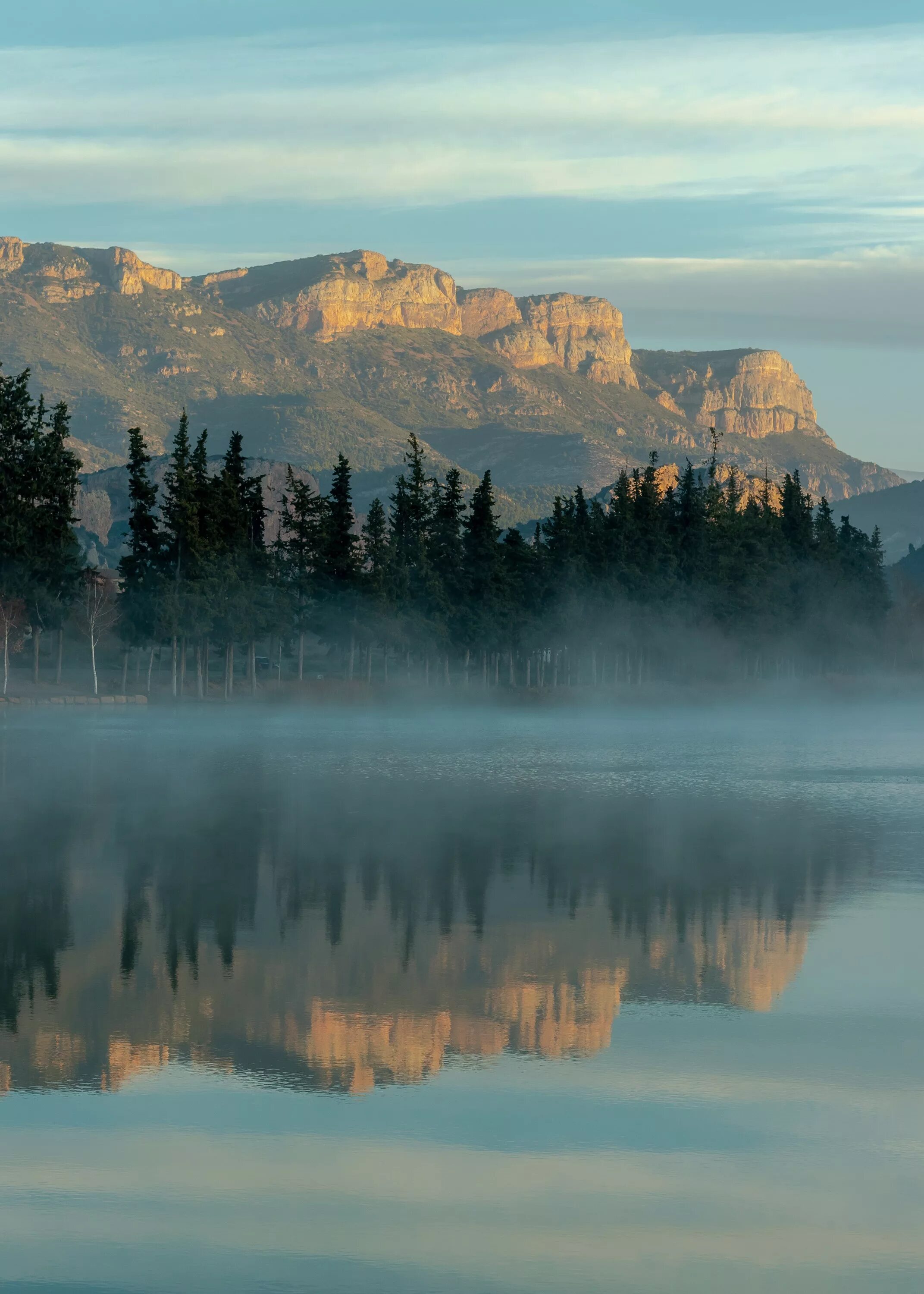 Туманное озеро. Лес озеро туман. Атмосферное озеро. Пейзажи в темных тонах. Красивый пейзаж.