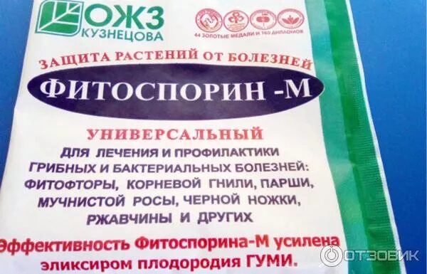 Как обрабатывать клубнику фитоспорином. Порошковый фитоспорин. Фитоспорин паста инструкция. Как обрабатывать клубнику фитоспорином. Фитоспорин для клубники.