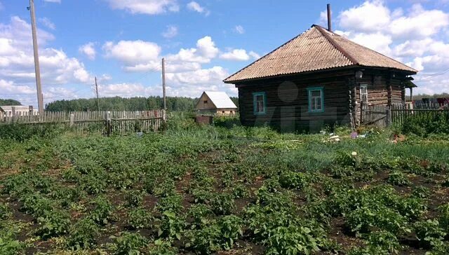 Авито болотное объявления частные. Деревня Таскаево Новосибирская область. Светлая Поляна Болотнинский район. Деревня камень Болотнинский район. Деревня светлая Поляна Новосибирская область.