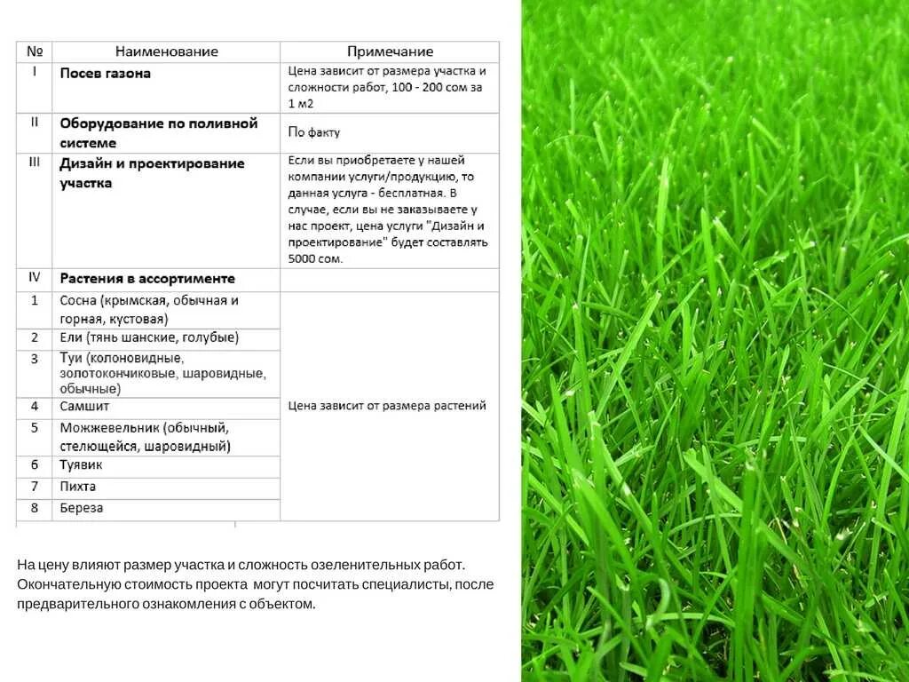 Коммерческое предложение по посеву газона. Типы газонов. Газон образец. Коммерческое предложение рулонный газон. Расход газонной травы на 1 м2