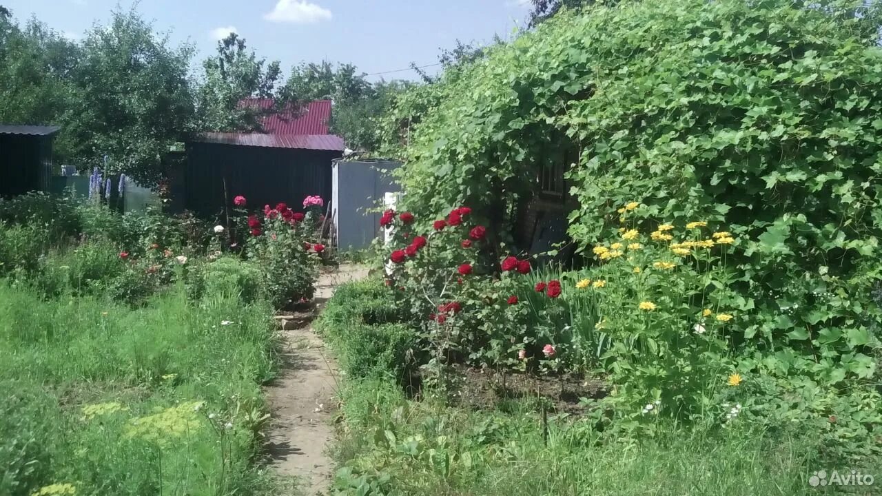Снт дружба орел дата создания. Снт снежинка. Дача орловская область кристалл 3. Орловская область снт. Дачи в орле.