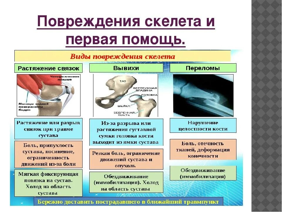 Таблица первая помощь при травмах 8 класс биология. Повреждения скелета и первая помощь. Травмы опорно-двигательного аппарата причины и профилактика. Таблица травмы опорно двигательной системы.