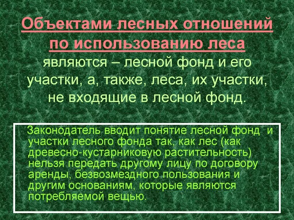 Объекты лесных отношений. Понятие земель лесного фонда. Объекты лесного фонда. Лесной фонд.