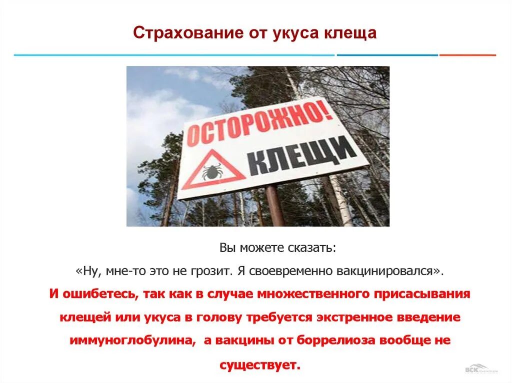 Страховка от клеща челябинск. Объявление о страховании от клеща. Страхование от укуса клеща. Страхование от клеща ресо. Объявление страховка от клеща.