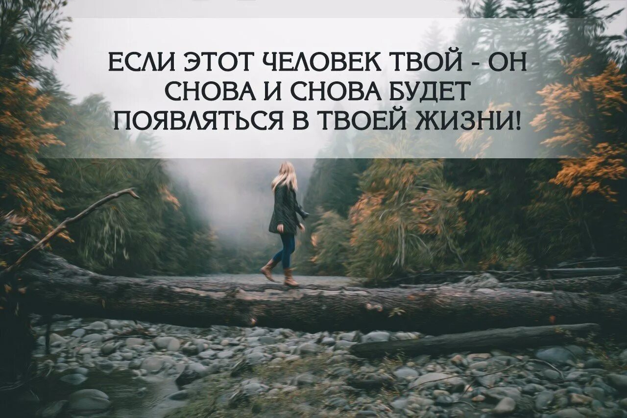 Книга бывший мы не твои. Если человек твой. Твой человек цитаты. Если человек снова и снова появляется в твоей жизни. Если это твой человек то.