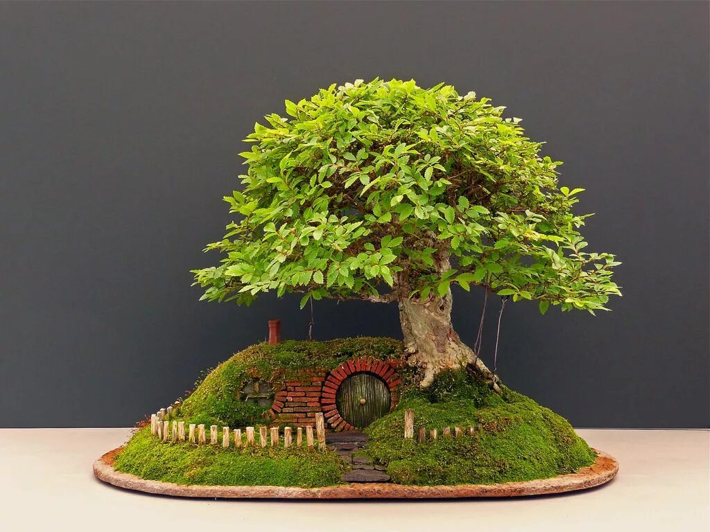 Tree ideas