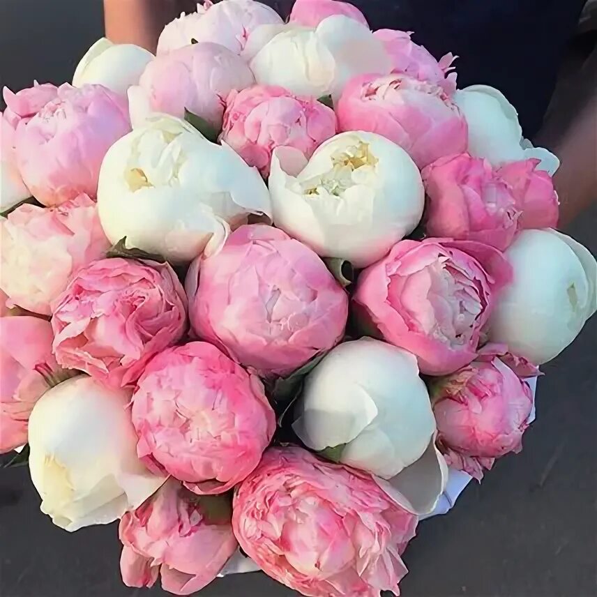 pink peony Bryllup