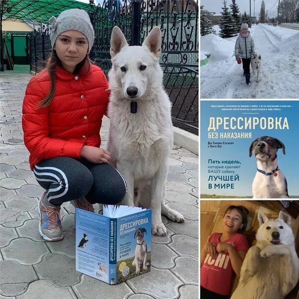 Книга дрессировка без наказания. Дрессировка без наказания. Дрессировка без наказания. Книга дрессировка без наказания. Дрессировка без наказания.