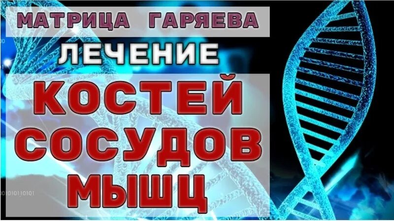 Матрица горяева оздоровительная слушать слушать. Матрица 3 мощное исцеление костей и мышц п.п.Гаряев. Матрица Гаряева кости и мышцы. Настоящая матрица Гаряева исцеление костей сосудов мышц. Матрицы Гаряева на исцеление костей и мышц.