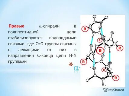 Полипептидная спираль