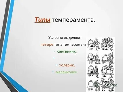 Виды темперамента кратко