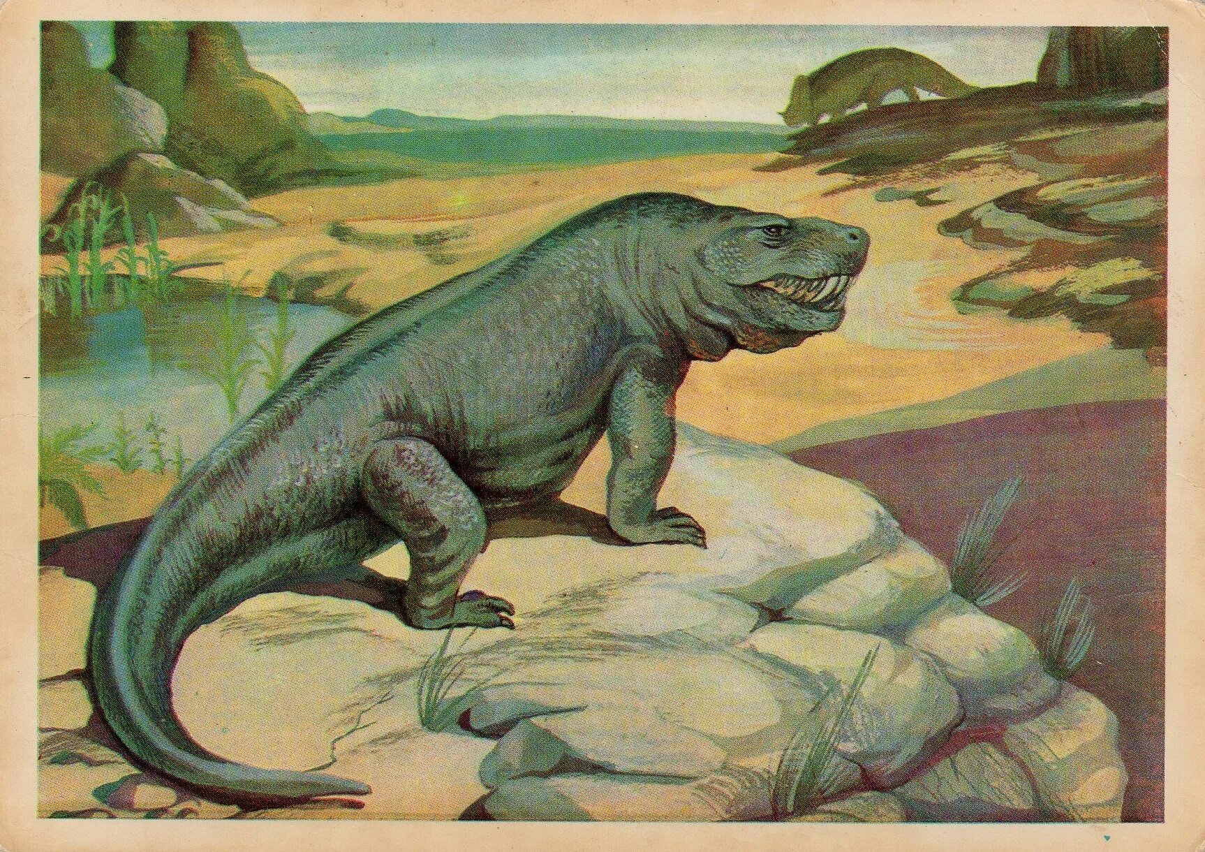 Первые настоящие наземные животные. Зверозубый ящер иностранцевия. Пермский период зверозубые рептилии. Иностранцевия динозавр. Звероящер иностранцевия.