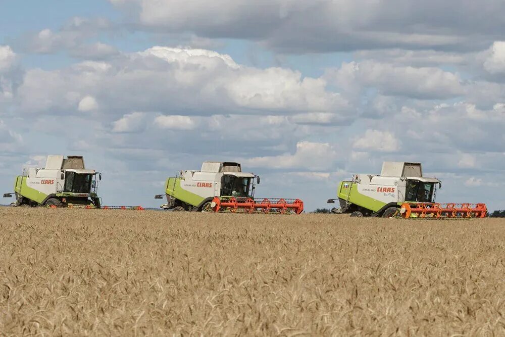Ооо заря киреевский район тульской области. Стрелецкий одоевский район тульская область. Тульская область аграрный сектор. Ооо животновод тульская область чернский район. Спк тульская область.