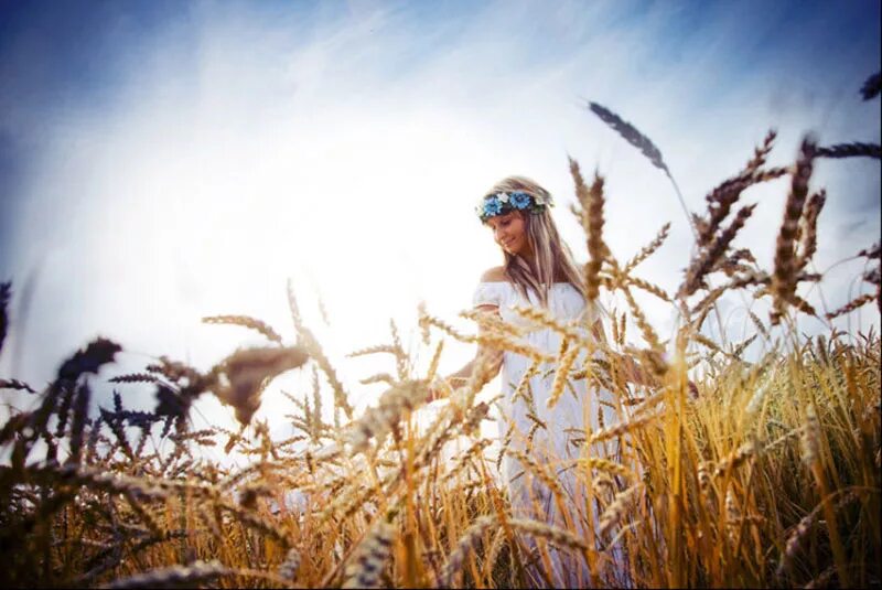 стихотворение поле. девушка в пшеничном поле. пшеничное поле. колосится в поле рожь песня. колосится в поле рожь.