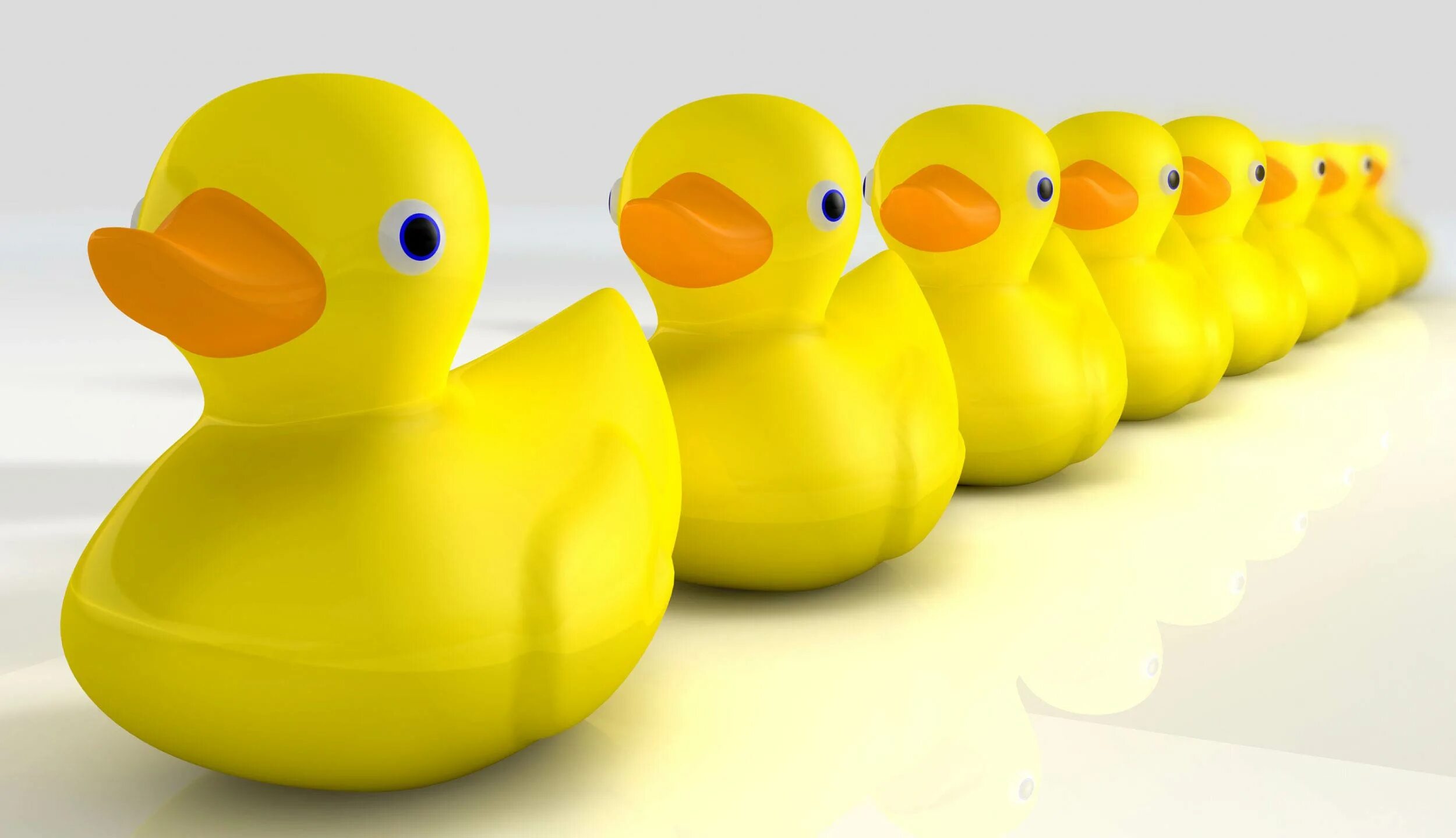 Having a row. Ducks in a row. get ducks in a row. get ducks in a row картинка. get ducks in a row идиома.
