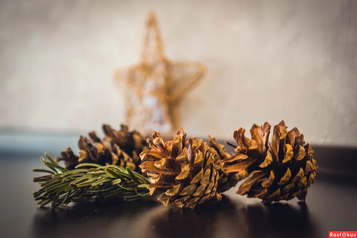 корзина с шишками. рождественский натюрморт. хвойный натюрморт.