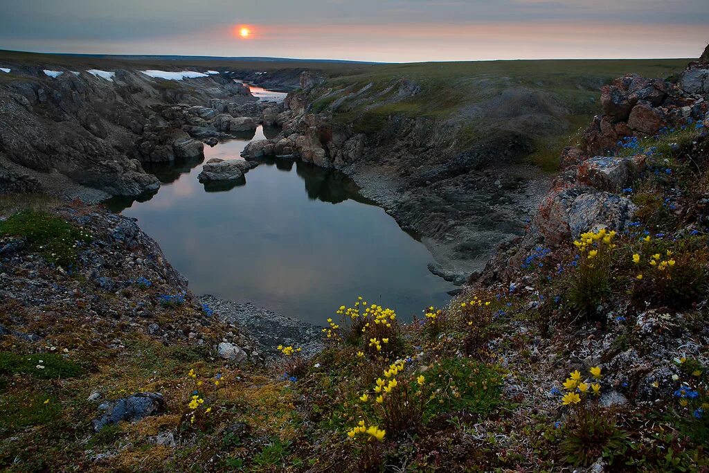 красноярский край. полуостров таймыр норильск. заповедники таймыра. таймырский. таймырский.