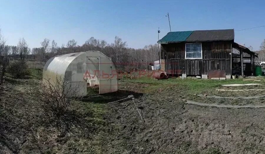 Кошево новосибирск. Кошево новосибирск. Кошево новосибирск. Снт приволье тюмень. Кошево новосибирск.