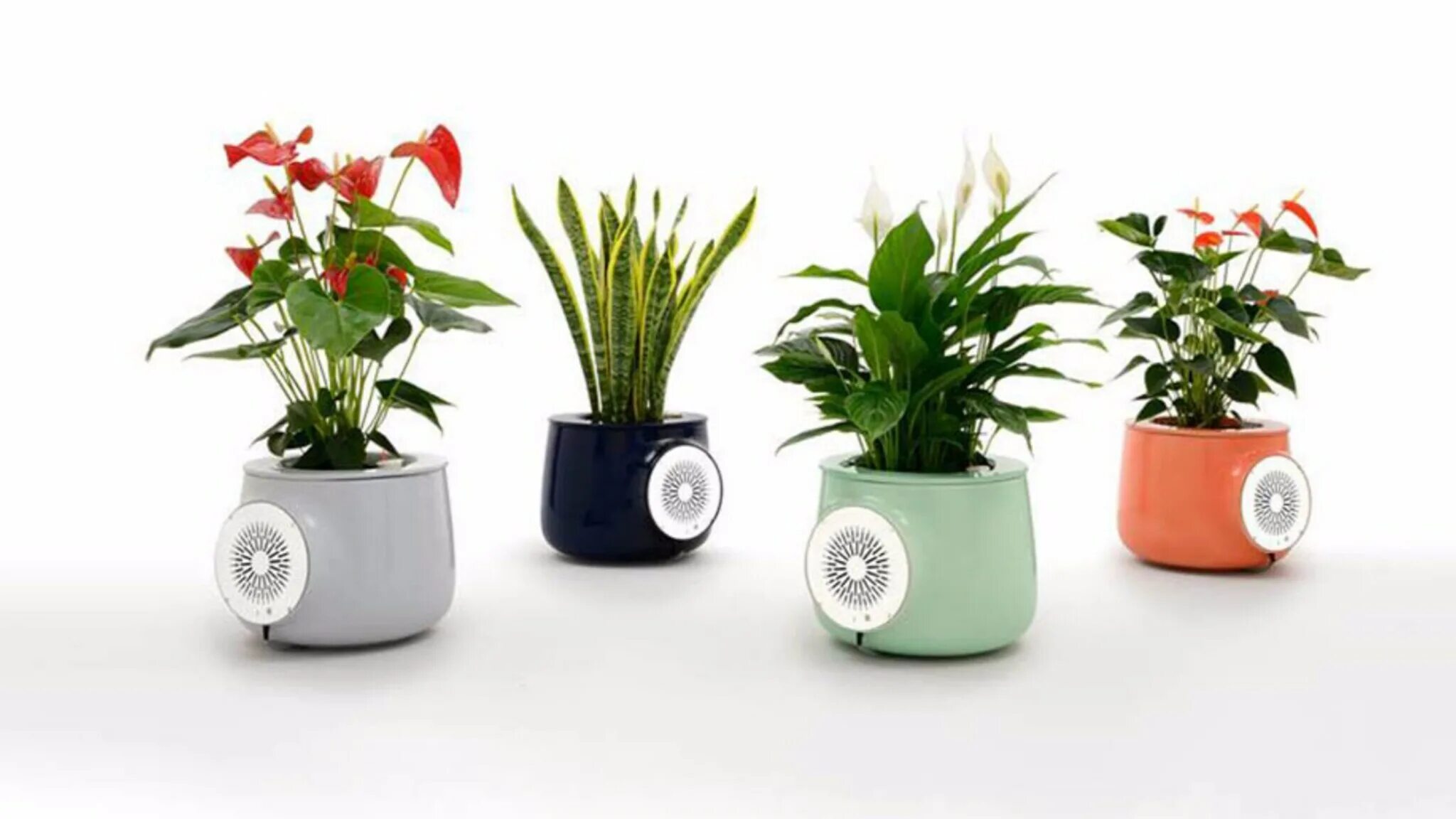 Смарт Плант. Llanwern - Smart Plant. Onemi Smart Planter. Replanting Home Plant. Smart plant