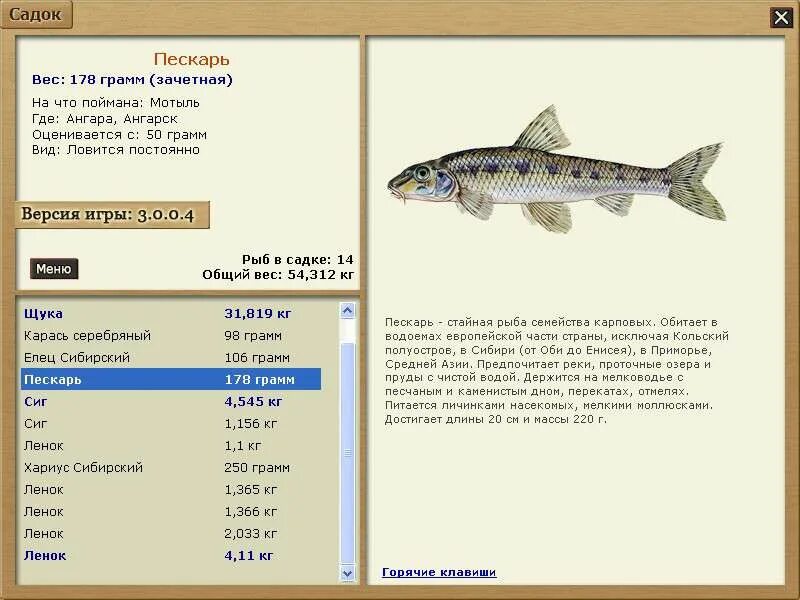 пескарь относится к рыбам