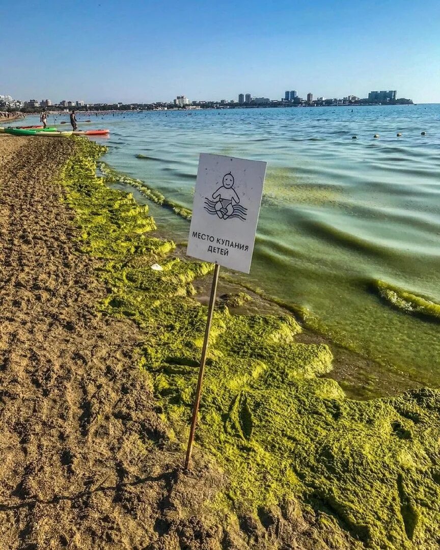 Почему анапа