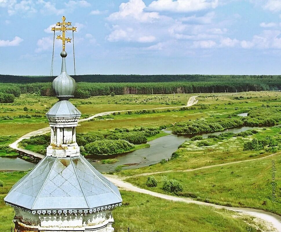 Гусь хрустальный р он. Гусь хрустальный р он
