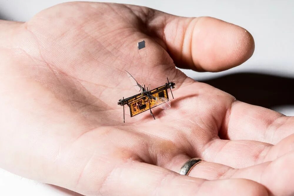 Микро деятельность. Самый маленький робот. Миниатюрные роботы. Самый маленький робот в мире. Робот "Муха".