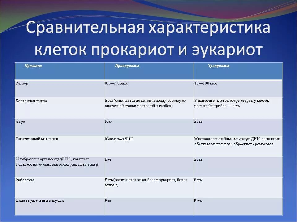 Эукариоты сравнение. Сравнение клеток прокариот и эукариот клеточная стенка. Сравнение клеток прокариот и эукариот таблица. Клеточная стенка прокариот и эукариот таблица сравнение. Клеточная стенка у прокариот и эукариот таблица.